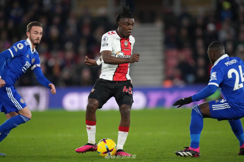 的亮相不仅 的亮相不仅